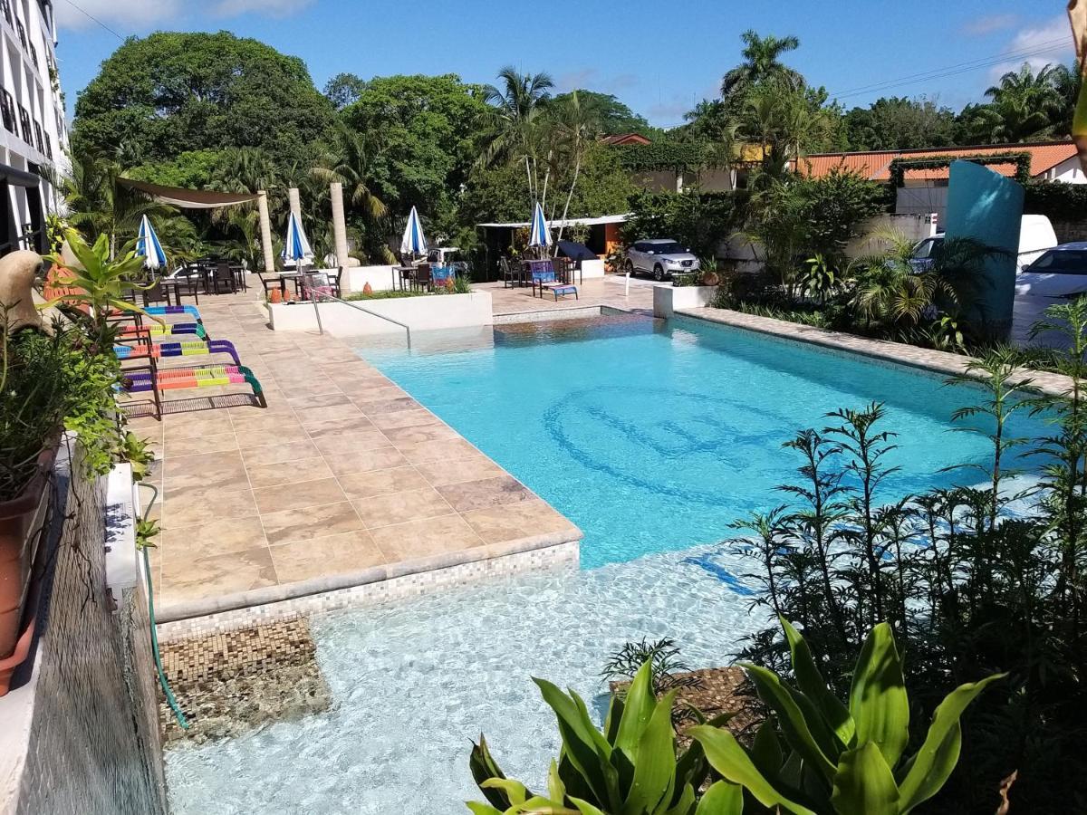 Hotel D Marco Exxpres Palenque Exteriér fotografie